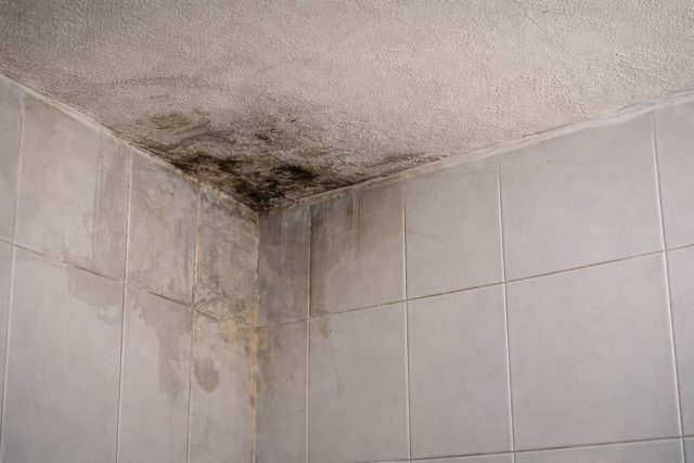 Humedad baño